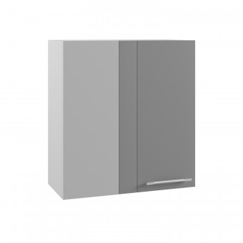 Гарда ПУ 650 шкаф верхний угловой (Белый Эмалит/корпус Серый) в Диксоне - dikson.mebel54.com | фото