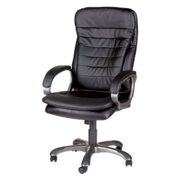 Кресло офисное BRABIX Omega EX-589 (черное) в Диксоне - dikson.mebel54.com | фото