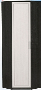 Шкаф для одежды угловой ДЛЯ ГОСТИНОЙ ШОУ-695 Венге/Дуб выбеленный в Диксоне - dikson.mebel54.com | фото