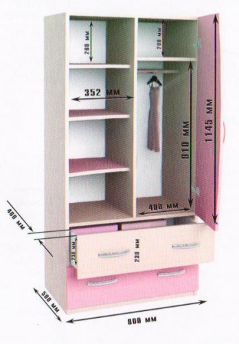 Шкаф двухстворчатый Бодего/Розовый в Диксоне - dikson.mebel54.com | фото