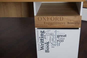 Стол с ящиками «Оксфорд» (Ривьера/Белый с рисунком) в Диксоне - dikson.mebel54.com | фото